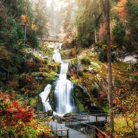 Apartment *schwarzwald-apartment 1° *