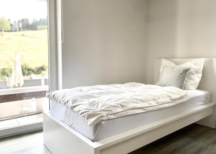 *schwarzwald-apartment 1° * *