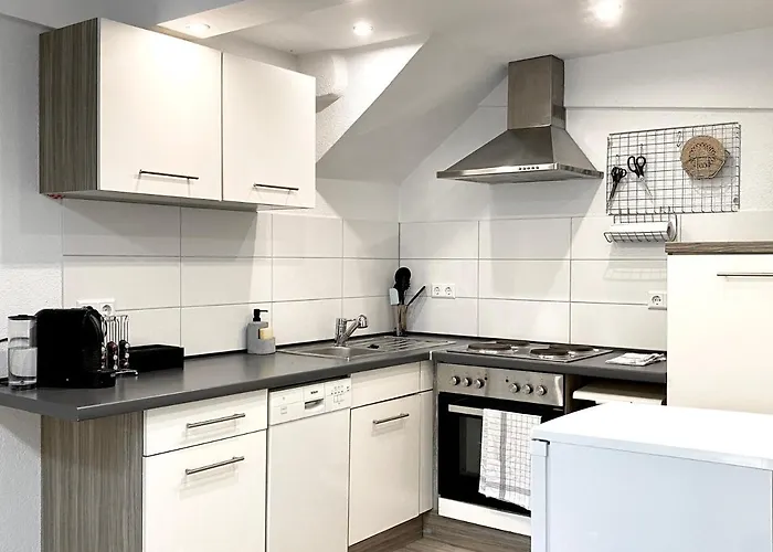 アパート *schwarzwald-apartment 1° * *