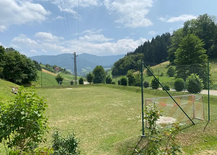 *schwarzwald-apartment 1° * *